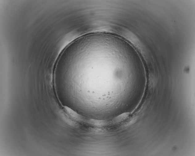 X0000097671234200803142147