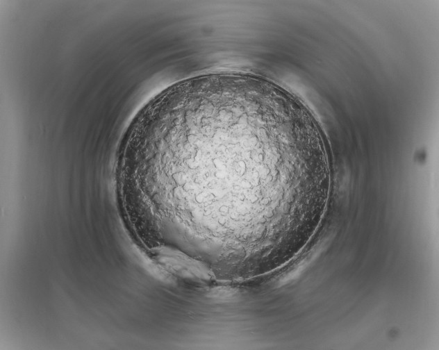 X0000097671235200803142147