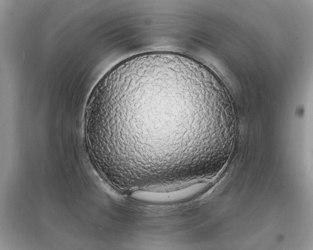 X0000097671236200803142147