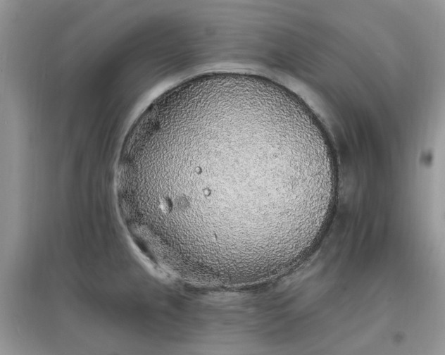 X0000097671237200803142147