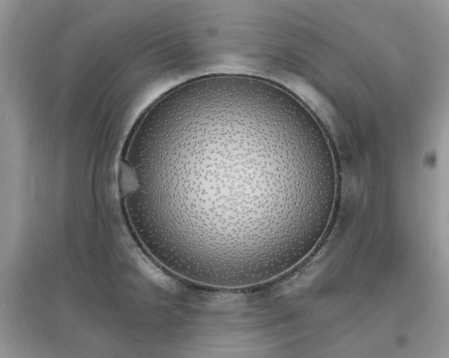 X0000097671238200803142147