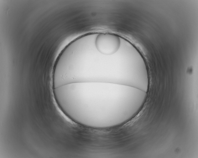 X0000097671239200803142147