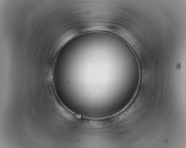 X0000097671241200803142147