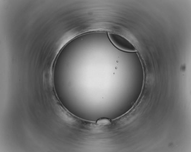 X0000097671242200803142147