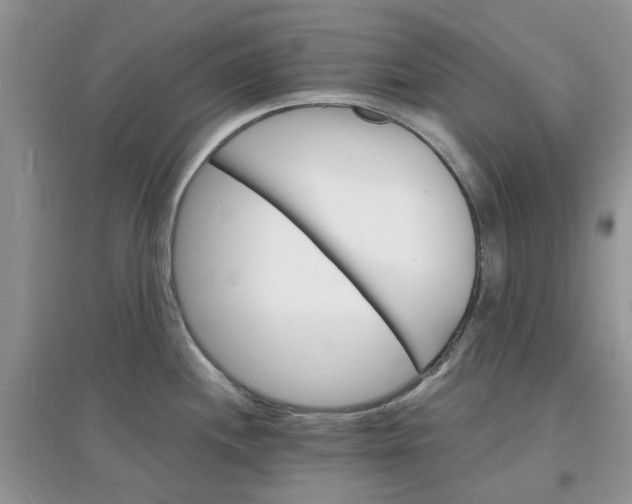 X0000097671244200803142147