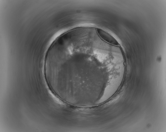 X0000097671245200803142147