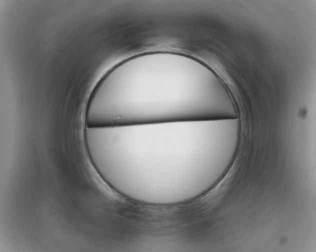 X0000097671246200803142147