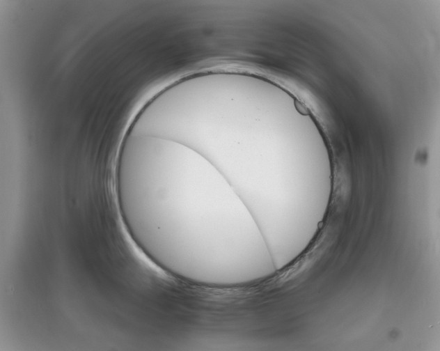 X0000097671247200803142147