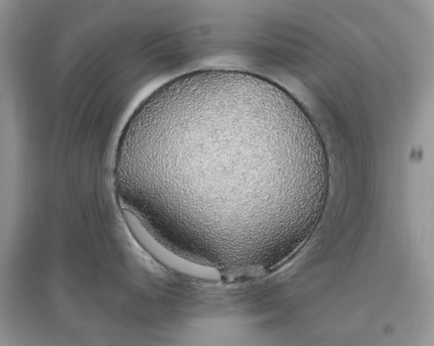 X0000097671248200803142147