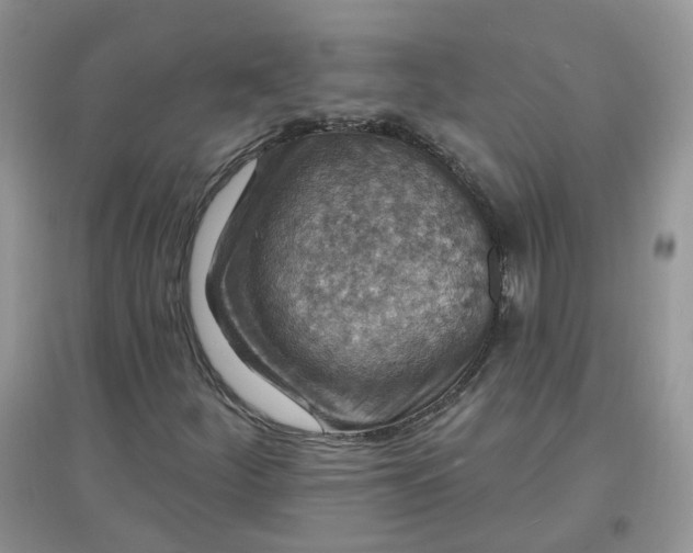 X0000097671252200803142147