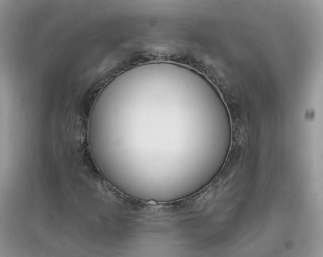 X0000097671253200803142147