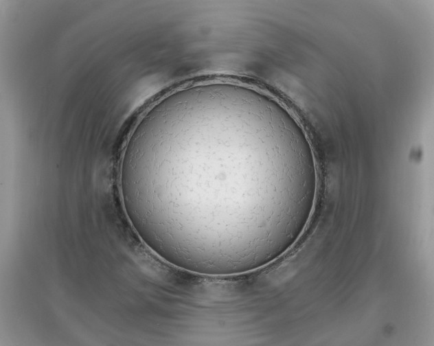 X0000097671258200803142147