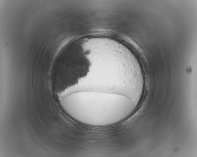 X0000097671259200803142147