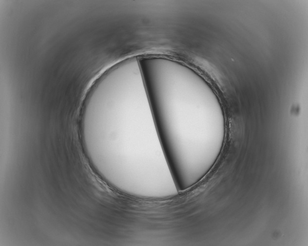 X0000097671260200803142147