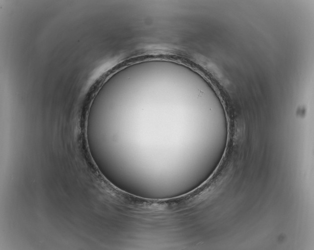 X0000097671261200803142147