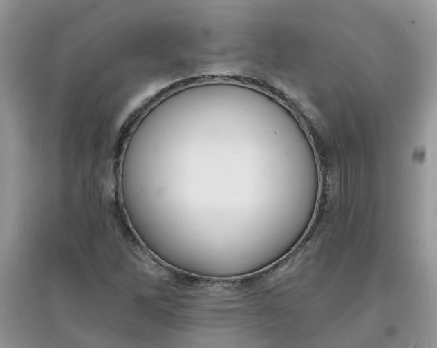 X0000097671262200803142147