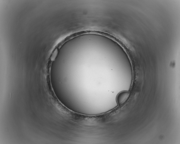 X0000097671264200803142147