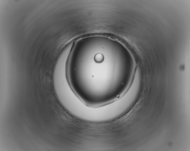 X0000097671265200803142146