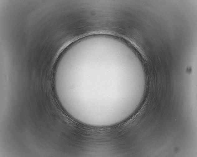 X0000097671266200803142146