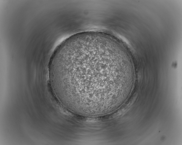 X0000097671267200803142146
