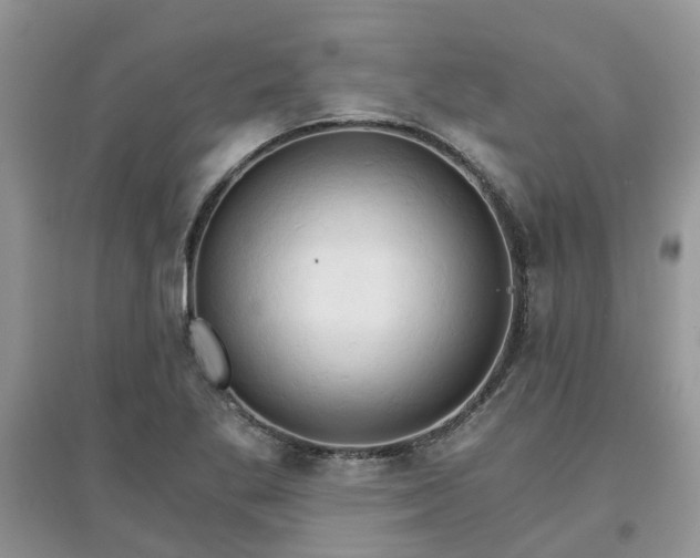 X0000097671269200803142146