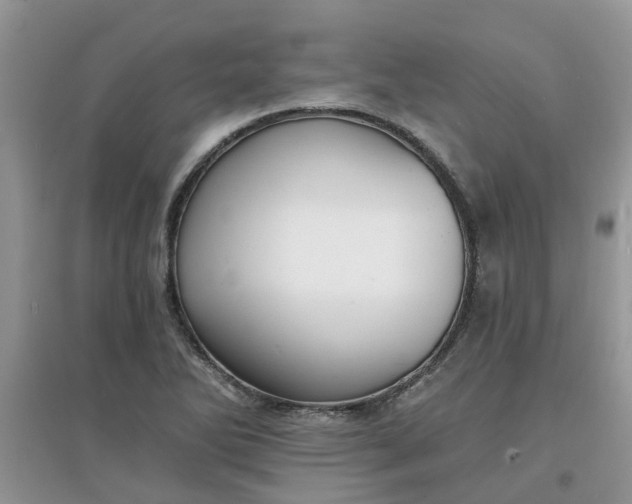 X0000097671270200803142146