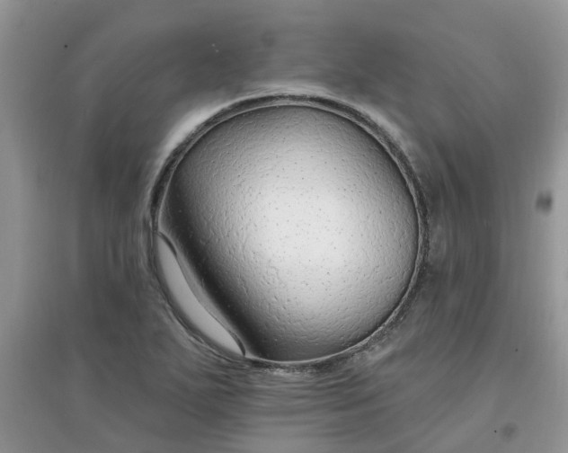 X0000097671271200803142146