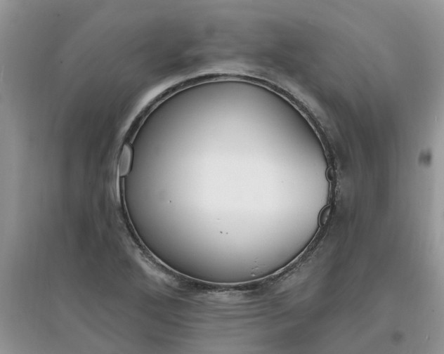 X0000097671272200803142146