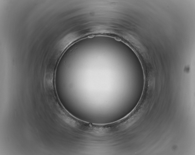 X0000097671273200803142146
