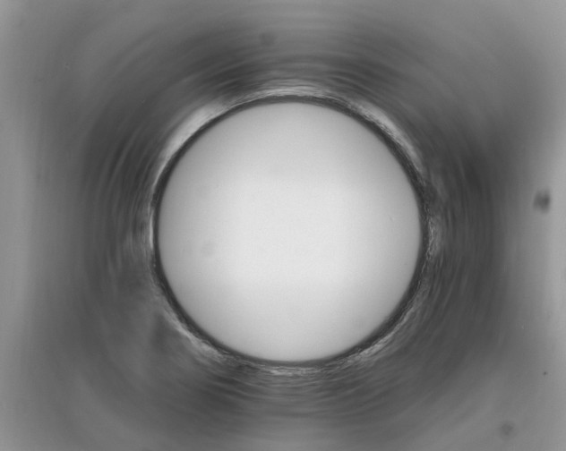 X0000097671274200803142146
