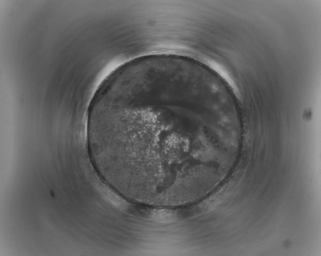 X0000097671275200803142146