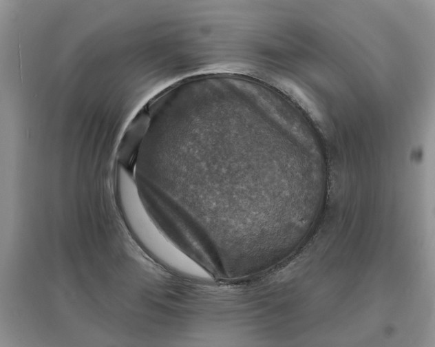 X0000097671276200803142146