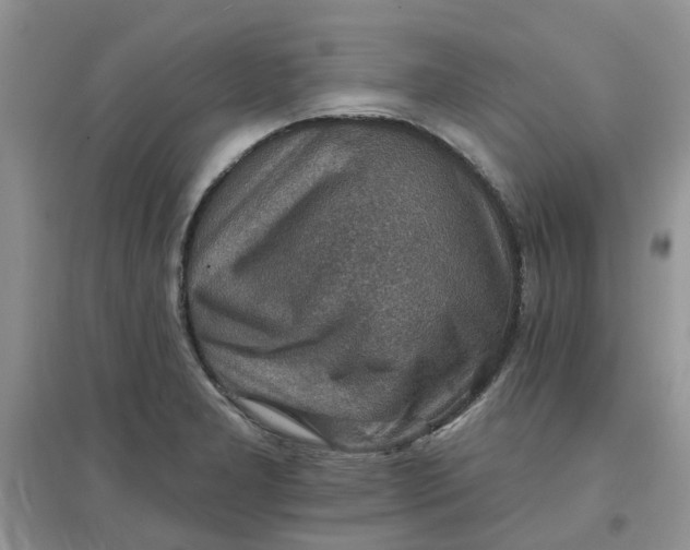 X0000097671277200803142146