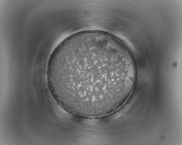 X0000097671278200803142146