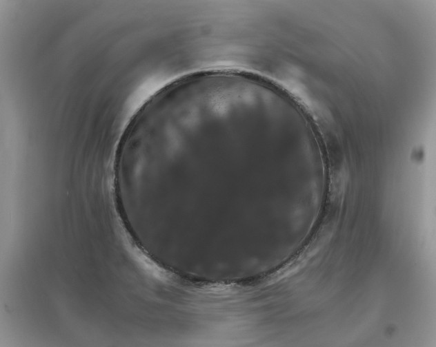 X0000097671279200803142146