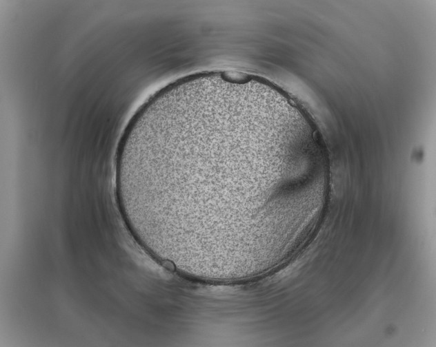 X0000097671280200803142146