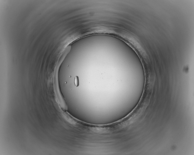 X0000097671281200803142146
