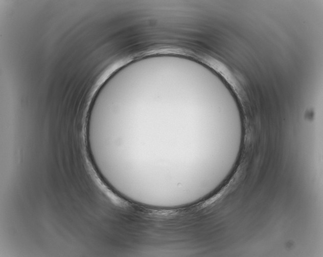 X0000097671282200803142146