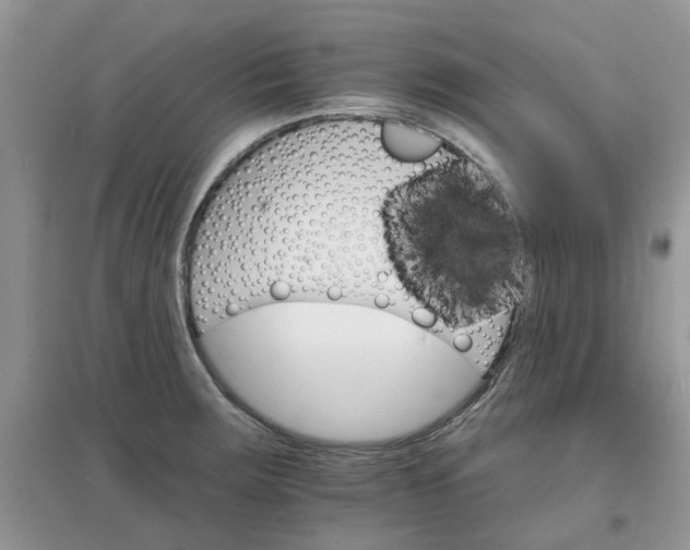X0000097671283200803142146