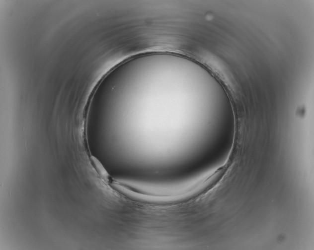 X0000097671284200803142146