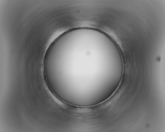 X0000097671285200803142146