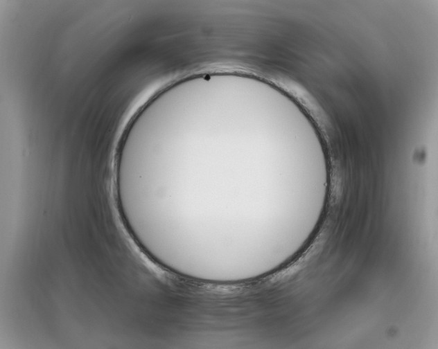 X0000097671286200803142146