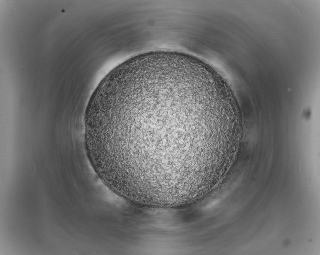 X0000097671287200803142146