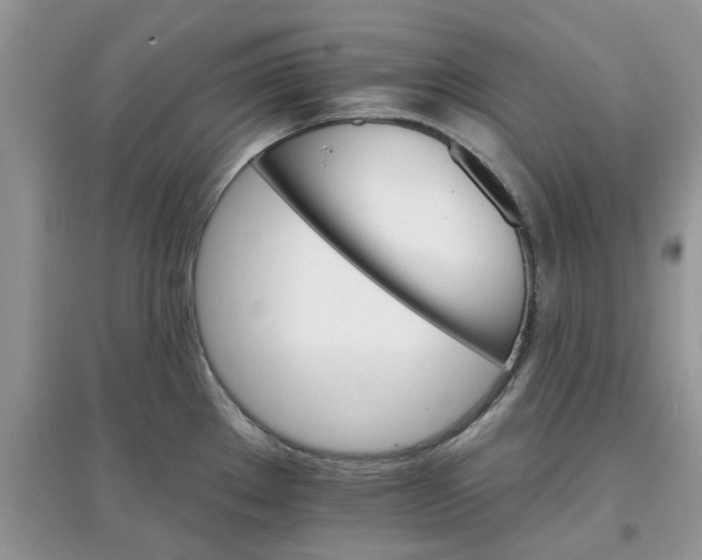 X0000097671289200803142146