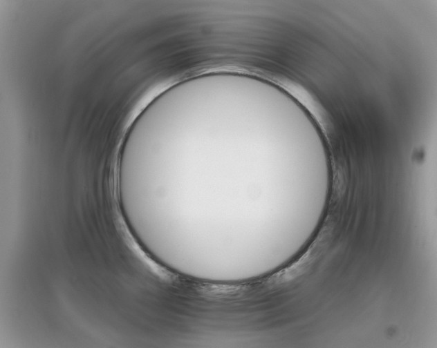 X0000097671290200803142146