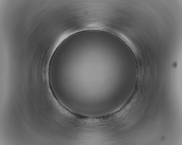X0000097671291200803142146