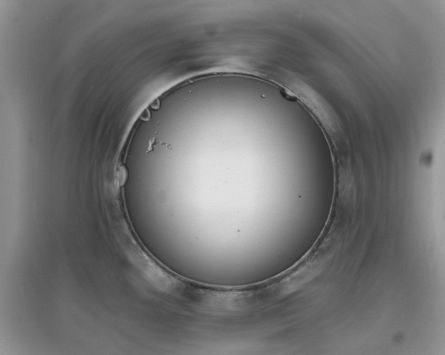 X0000097671292200803142146