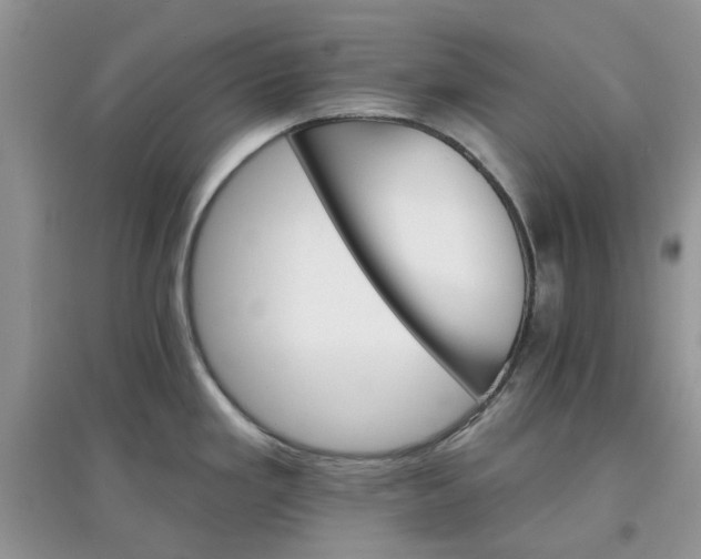 X0000097671293200803142146