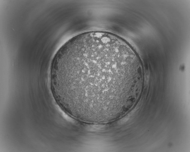 X0000097671294200803142146