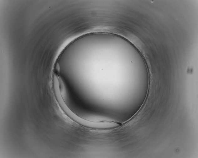 X0000097671296200803142146